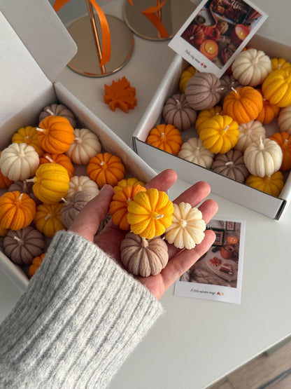 Mini Pumpkin Soy Candles Set of 16